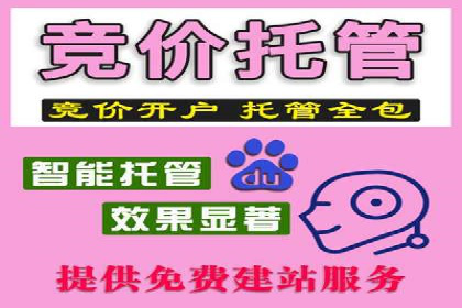 竞价推广公司案例：实战技巧与策略